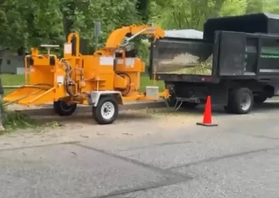 Affordable Tree Service