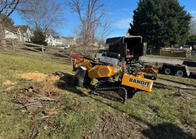 Tree Service